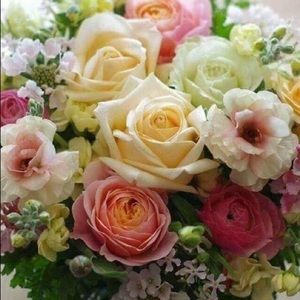 Meet your Posher, Mary